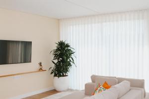 a living room with a white couch and a plant at Quinta D'Joanes Douro in Resende