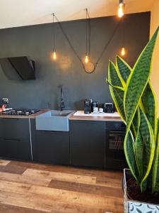 Cucina o angolo cottura di Il Cantuccio delle Crete