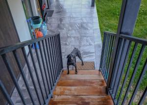 Fotografie z fotogalerie ubytování Vacation home Khatosi v destinaci Oni