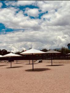 Billede fra billedgalleriet på Issyk-Kul Novel i Korumdy + 13 billeder