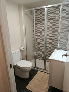 a bathroom with a toilet and a shower at APARTAMENTO DANAE centro ESS00359 in Zumaia +31 photos