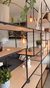 a shelf with lights in a room with plants at 'Das kleine Feine' - Ruhige, helle Ferienwohnung mit Parkplatz und Balkon in Pforzheim