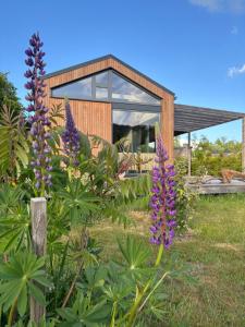 un jardín con flores púrpuras frente a una casa en Bungalow Lupine | 4 personen - Vakantiepark De Kremmer, en Gasselte