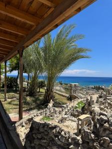a view of the ocean from a building with a palm tree at Villa Rose in Archangelos