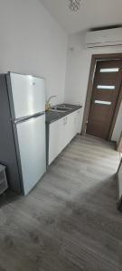 Kuchyň nebo kuchyňský kout v ubytování Vila Ame Eforie Nord