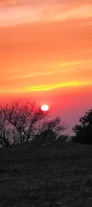 صورة لـ Bluepine Cottages Pangot في ناينيتال