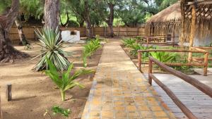 Zahrada ubytování Tofo Beach Gardens