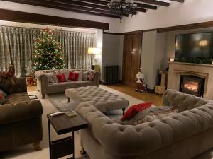 a living room with a christmas tree and couches at Greenacres Hall in Disley