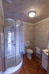 Un baño con ducha, inodoro y lavabo. en Poolhouse Wowox, en Grižane