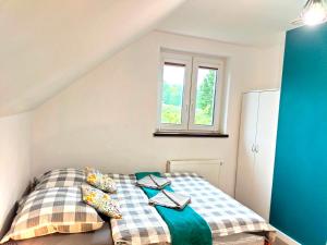 a bedroom with a bed and a window at Apartamenty Jodłowa - bilard - bawialnia - królikarnia in Krajno-Zagórze