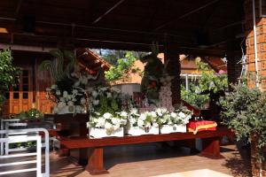 Zahrada ubytování Homestay Bảo Lộc Ngọc Kim