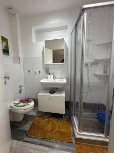 a bathroom with a toilet and a sink and a shower at Hanse Vermietung 3 in Bremen +31 photos
