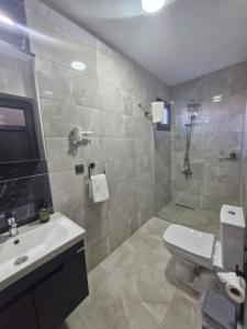 a bathroom with a toilet and a sink and a shower at Velder House Urla in Urla