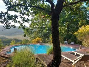 a swimming pool with a tree next to a deck at Agriturismo Timignano in Monteguidi