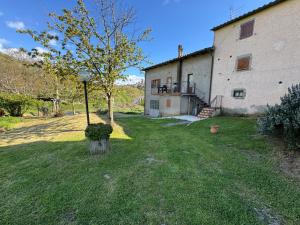 a house with a tree in the yard at Podere San Ferdinando in Arcidosso