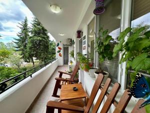 a porch with chairs and plants on a balcony at Mary's Guesthouse in Banya