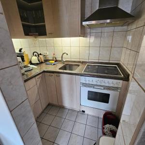 Una pequeña cocina con estufa y fregadero. en My Sweet Apartment Ferien & Messe Wohnung Düsseldorf re, en Düsseldorf