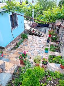a garden with potted plants on a patio at Guest house Eloid in Berat
