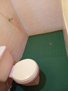 baño con aseo y suelo verde en Casa San Fernando, Ahuachapan, en Ahuachapán