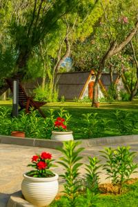 Fotografie z fotogalerie ubytování Nest Beach Bungalows Datça v destinaci Datça