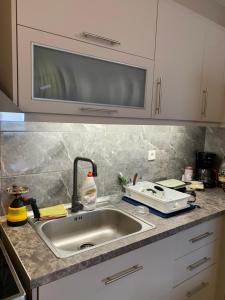 a kitchen counter with a sink and a microwave at Holidays Pelion studio in Nea Anchialos
