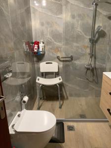 a bathroom with a white toilet and a shower at Holidays Pelion studio in Nea Anchialos