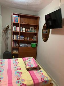 a bedroom with a bed and a book shelf at Holidays Pelion studio in Nea Anchialos