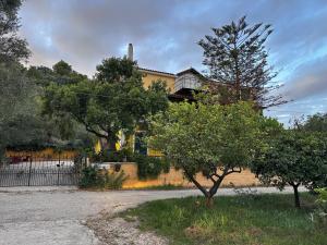 una gran casa amarilla con árboles delante de ella en Villa Theodora, en Kerion