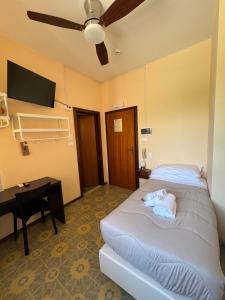 a bedroom with a bed and a desk and a television at Hotel Diana in Riva del Garda