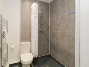 a bathroom with a toilet and a shower at The Treetop Nook at Harcombe House in Newton Abbot +54 photos