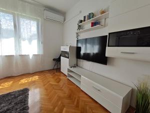 Telewizja i/lub zestaw kina domowego w obiekcie Antemma Apartment