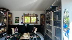 Camera con letto e librerie di Le Cabanon entouré de Pins a Lacanau