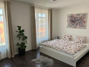 Posteľ alebo postele v izbe v ubytovaní Apartment Husova