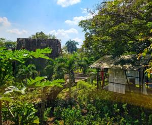 Aed väljaspool majutusasutust EcoHotel El Castillo Pance