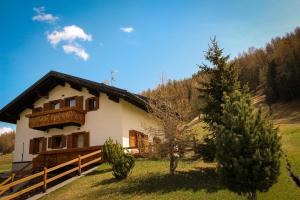 a house in a field next to a tree at Piccolo Larice - Livigno in Livigno