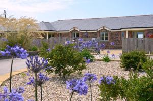 a garden with purple flowers in front of a house at Willow Beautiful 3 bed accessible holiday cottages in Tregoney