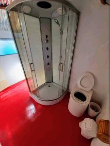 プーノにあるTiticaca Kontiki Eco Lodge Peruのシャワーとトイレ付きのバスルーム