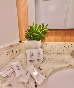 a bathroom counter with three rolls of toilet paper on it at Novinho, Lindo e Moderno C/ Ar Cond. in Curitiba +47 photos