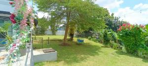 Zahrada ubytování Villa Arti Dadi