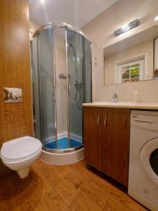 ノヴィ・タルクにあるApartament 14 Nowy Targ - słoneczny apartament z widokiem na Tatryのシャワー、トイレ、洗面台を備えたバスルーム