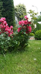 A garden outside Pendik Marine Hotel