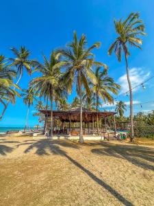 eine Gruppe von Palmen an einem Strand mit einem Pavillon in der Unterkunft Huku Beach Hostel in Palomino