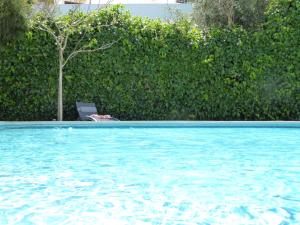 a chair sitting next to a swimming pool at Strip - Private Pool - 12 Guests - Albufeira in Albufeira