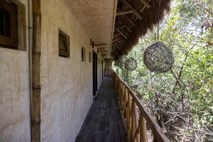 Фотография из галереи Mayan Monkey Isla Mujeres - Social Hotel в городе Исла-Мухерес