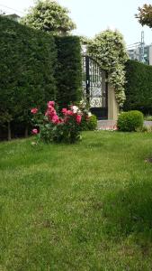 A garden outside Pendik Marine Hotel