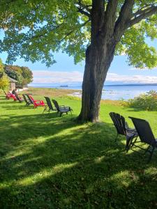 a row of park benches under a tree next to the water at Auberge Les Blancs Moutons in Saint-Laurent-de-l'ile d'Orleans +29 photos