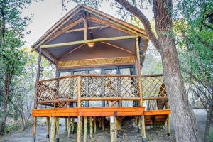 Fotografija u galeriji objekta Rustic Gate Lodge and Campsite u gradu Maun +24 fotografije