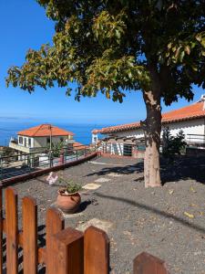un árbol junto a una cerca con el océano en el fondo en Monte Gordo Accommodation, en Ribeira Brava