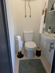 Un baño pequeño con inodoro y lavabo. en Monte Gordo Accommodation, en Ribeira Brava 31 fotos más