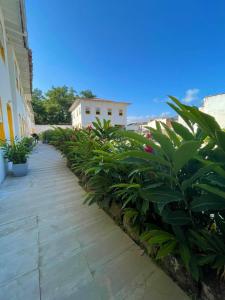 a row of plants on a sidewalk next to a building at Pousada Fortaleza in Paraty